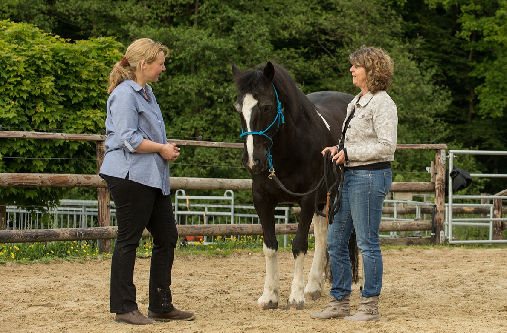 Auf Augenhöhe mit Mensch und Pferd