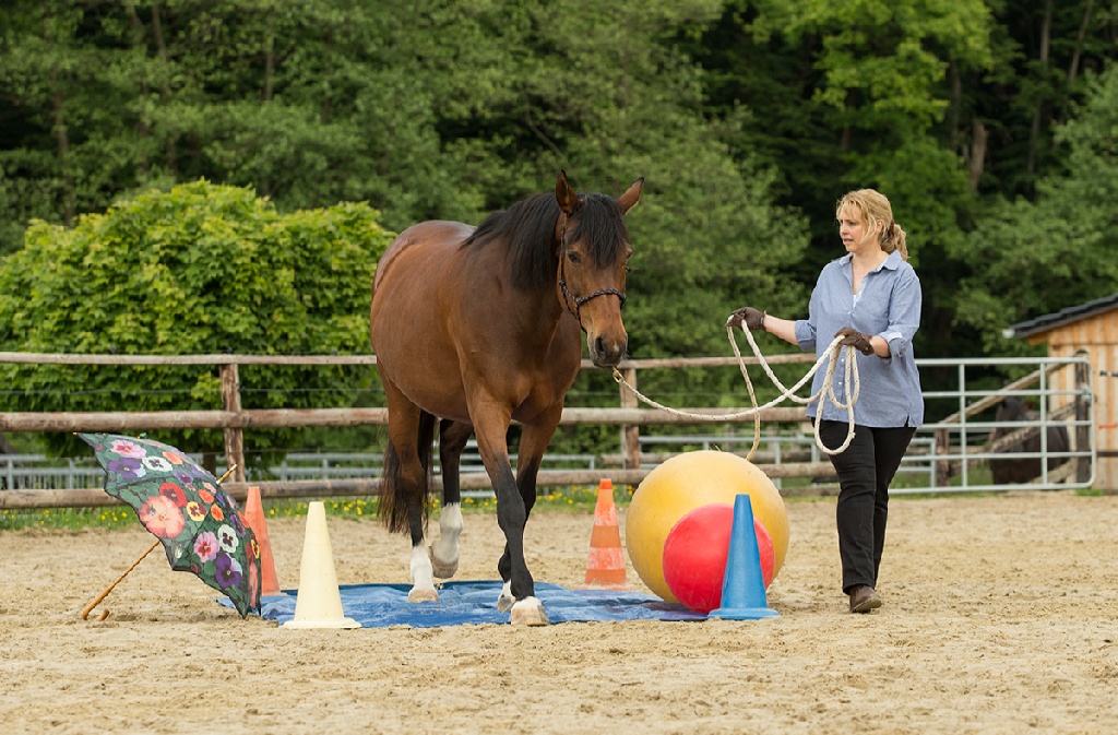 Gelassenheit durch TGT®-Training