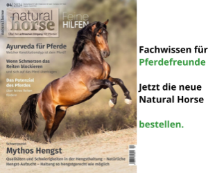 Natural Horse 52